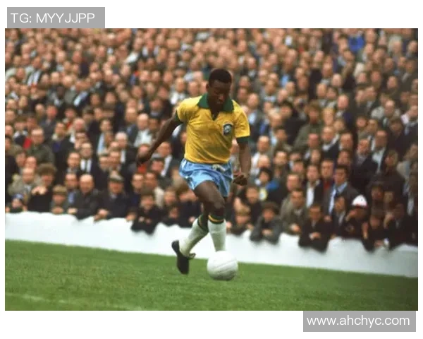 维尼修斯：从新星崛起到足球巨星的传奇旅程与未来展望